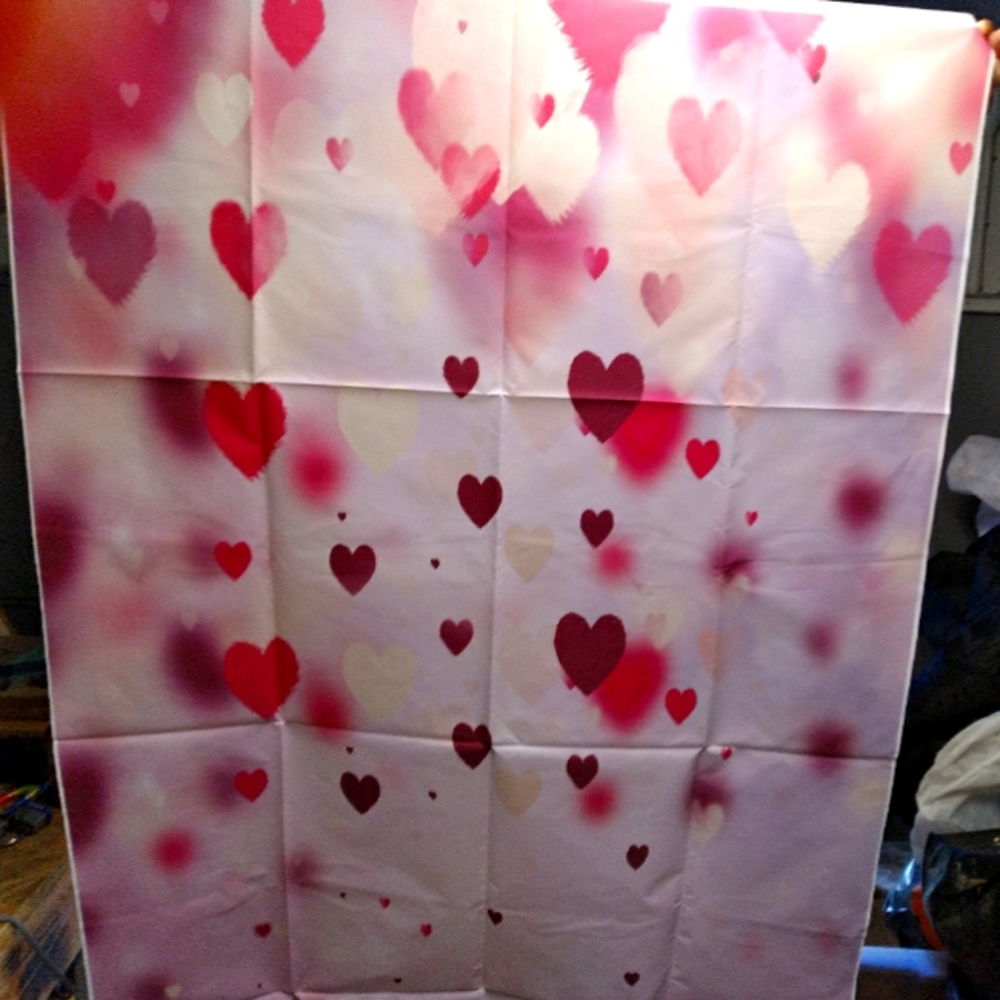 Photo Backdrop - Picture 3 of 3